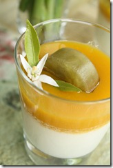 pana cotta mangue glacon 2