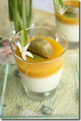 pana cotta mangue glacon 3