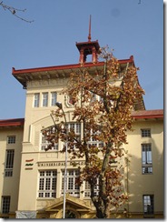 université
