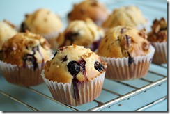 muffin myrtille noix