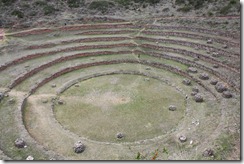 moray 2ème amphi